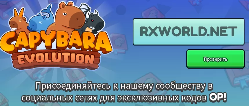 Куда вводить коды в Capybara Evolution?